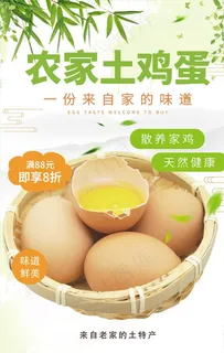 农家土鸡蛋土特产促销海报图片