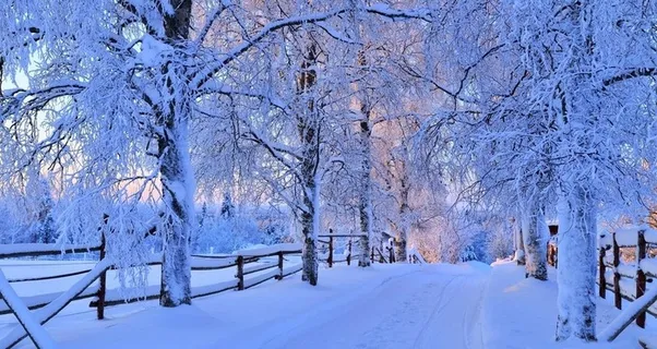 奥林匹克公园雪景图片