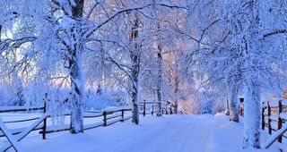 奥林匹克公园雪景图片