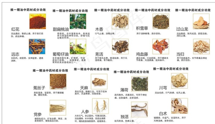 海基白云山精油中药成分图图片cdr矢量模版下载