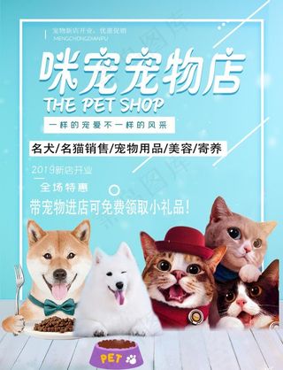 宠物店开业图片