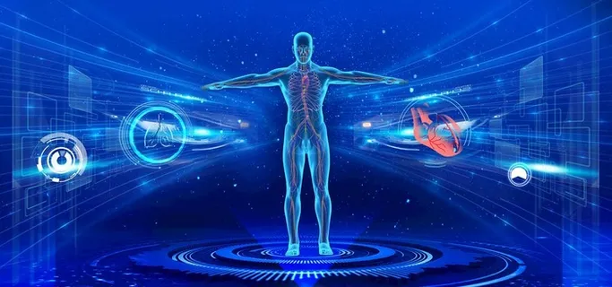 人体骨骼内脏血液图片