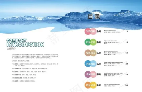 目录设计图片 目录设计图片