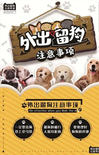 宠物海报图片