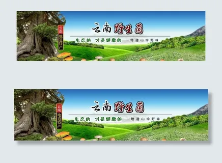 云南野生菌图片 云南野生菌图片