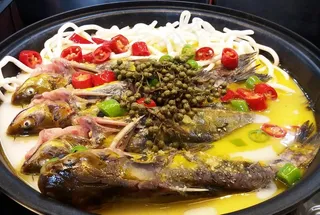 酸汤金丝鱼 酸汤昂刺鱼图片