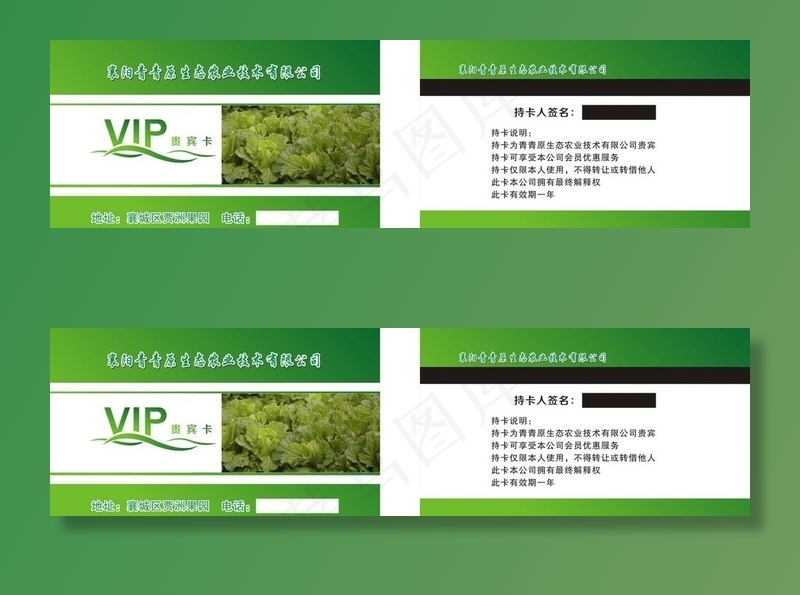 绿色VIP卡图片cdr矢量模版下载