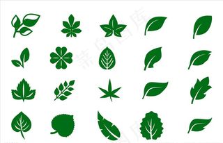 树叶 绿叶 叶子 素材图片