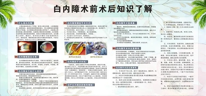 白内障术前后宣传图片(210X297)cdr矢量模版下载