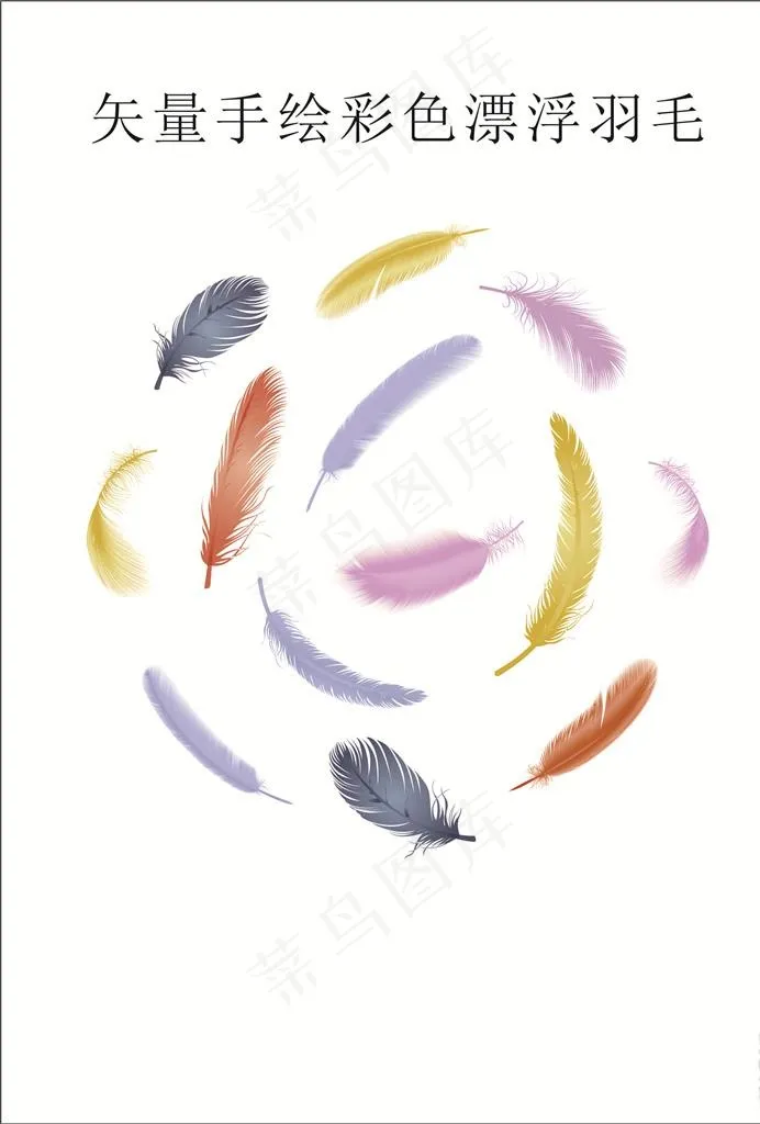 羽毛图片cdr矢量模版下载