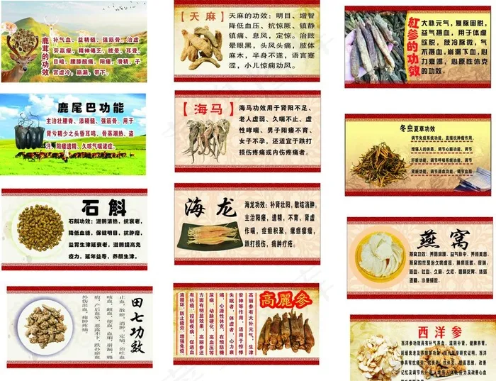 参茸广告图片(210X297)cdr矢量模版下载
