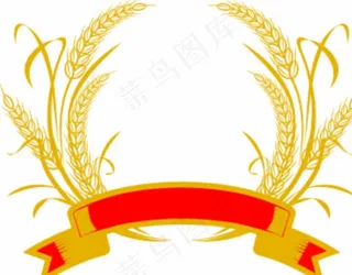 麦穗图片