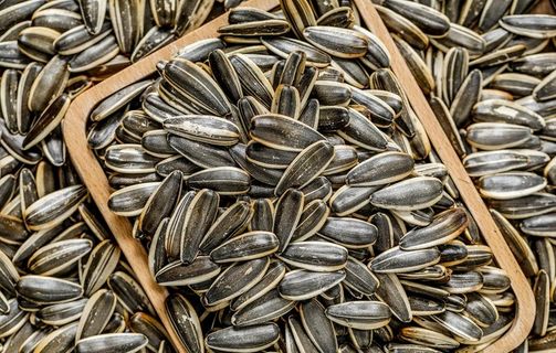 瓜子葵花籽炒货干货图片
