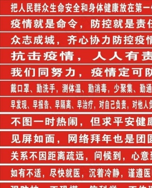 新型冠状病毒图片