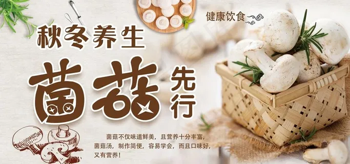 菌菇节图片