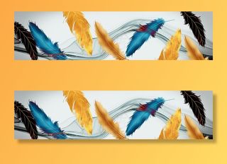 轻奢羽毛装饰画图片