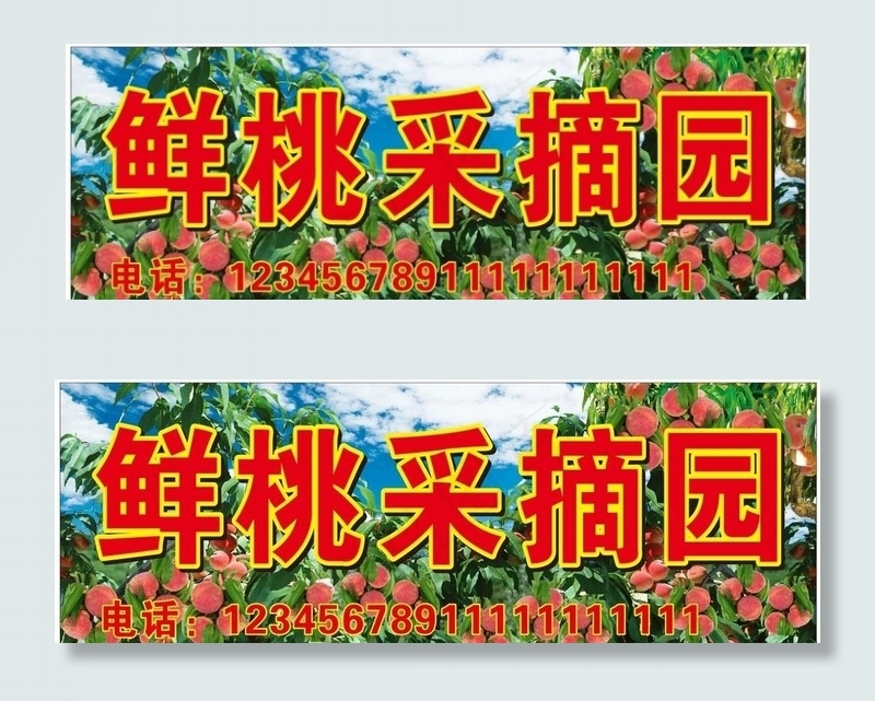 鲜桃采摘图片cdr矢量模版下载