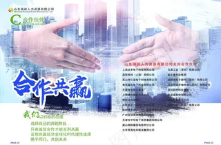 人力资源公司画册 宣传册图片