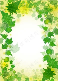 爬山虎图片 爬山虎图片