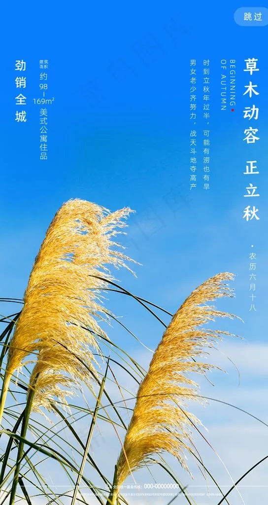 立秋图片psd模版下载
