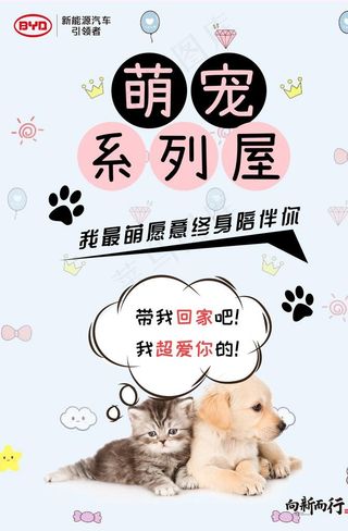 猫狗萌宠图片