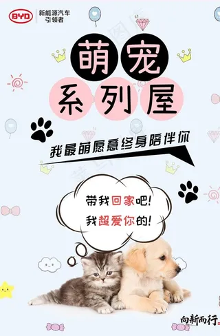 猫狗萌宠图片