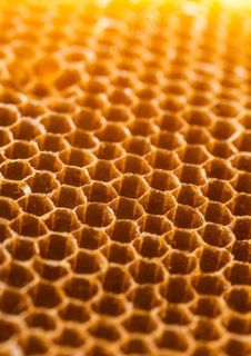 蜂巢图片