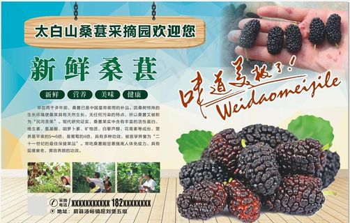 采摘园海报图片