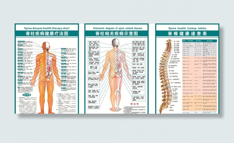 脊柱疾病相关示意图图片(600X900)cdr矢量模版下载