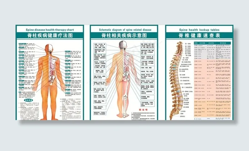 脊柱疾病相关示意图图片(600X900)cdr矢量模版下载