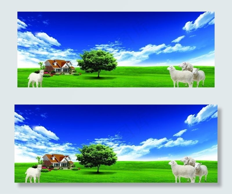 蓝天白云羊图片