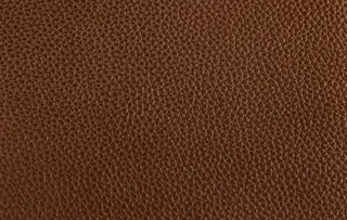 棕色真皮纹理图片