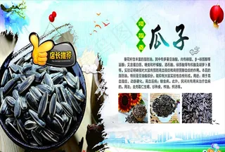 瓜子海报图片