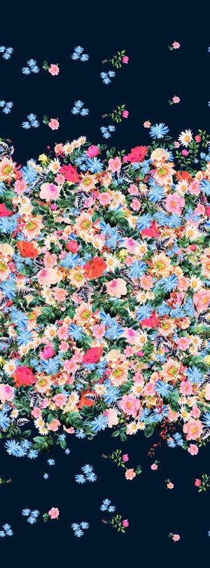 双边定位花图片