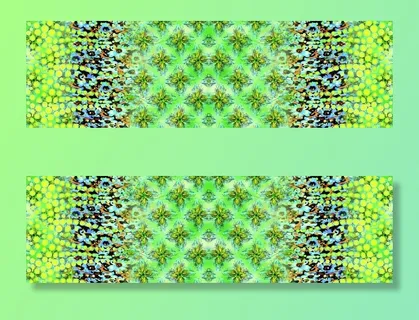 花图片 花图片