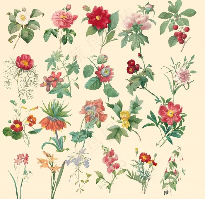 花素材图片(7000X7000(DPI:254))psd模版下载
