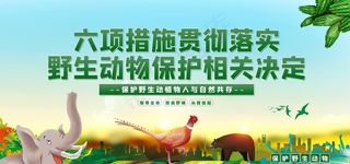 保护野生动物图片