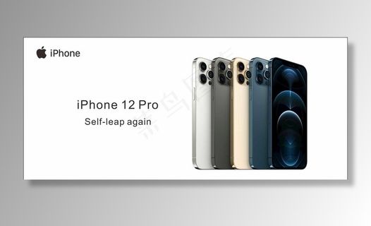 苹果12 12Pro图片