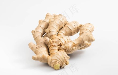 新鲜生姜图片