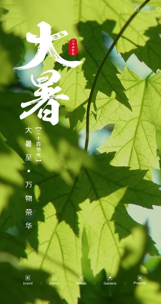 大暑 节气图片(3125X5558(DPI:300))psd模版下载