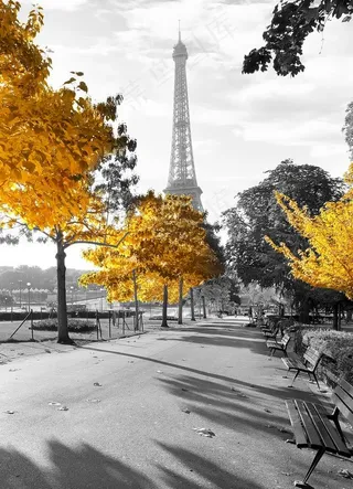 装饰画 挂画  北欧 现代图片