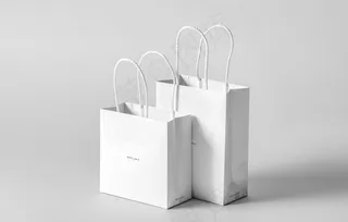 手提袋样机图片