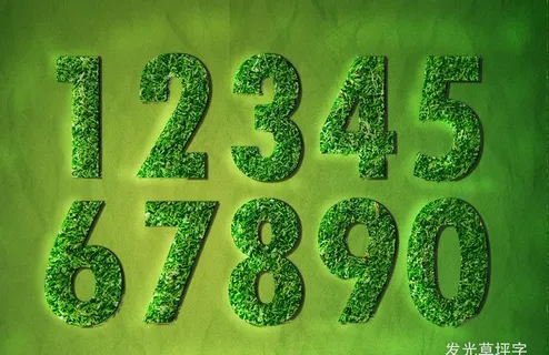 草坪字体设计图片