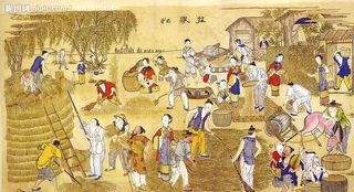 庄稼忙图片