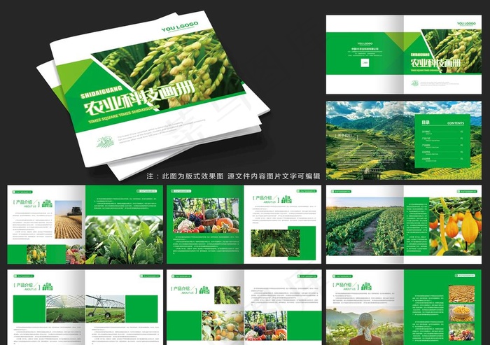 农业科技画册图片ai矢量模版下载