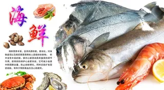 鱼海报图片
