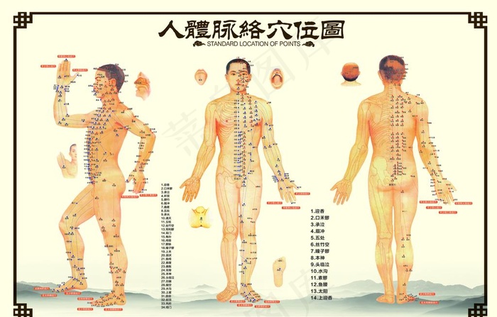 中医经络穴位图图片