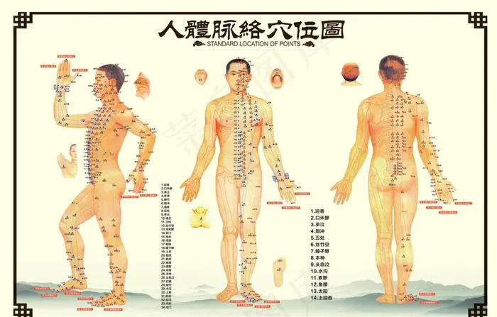 中医经络穴位图图片(1195X800)cdr矢量模版下载