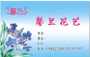 兰花图片