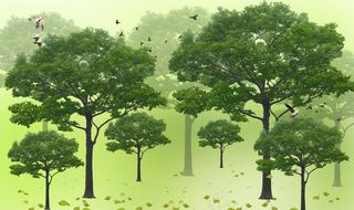 电视背景墙图片